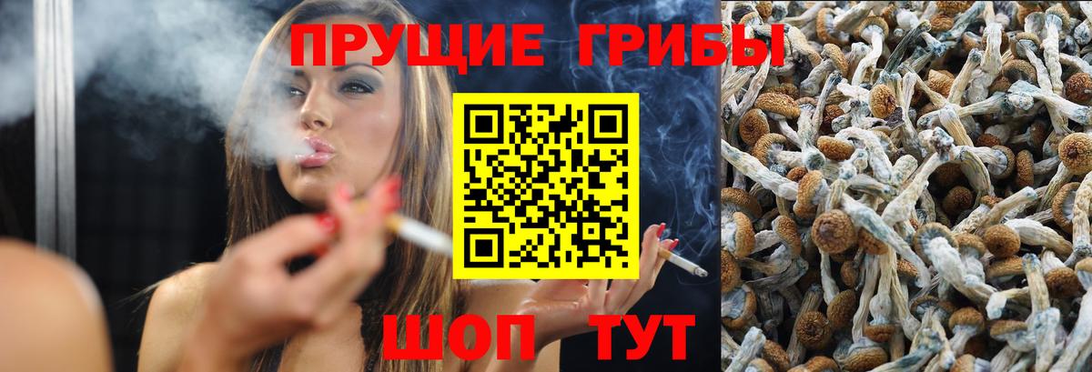 Кушва  Псилоцибиновые грибы Psilocybine cubensis  Вход с VPN 